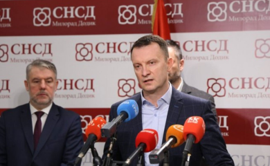 SNSD: Đajić se nikada nije ni napio