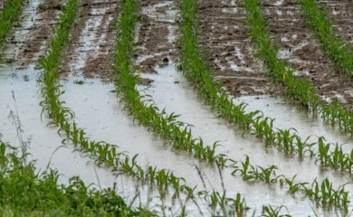 Trud i novac otišli niz vodu: Poplave u Srpskoj ostavile pustoš i veliku štetu