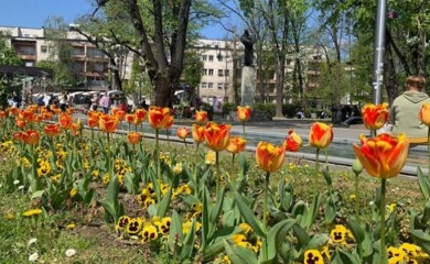 Nastavak lijepog i toplog vremena, temperatura do 35 stepeni