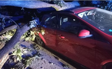 Drvo palo na auto: Saniraju se posljedice noćašnje oluje u Banjaluci FOTO