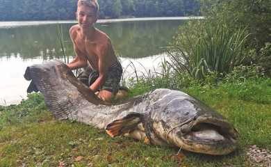 Dječak (13) upecao grdosiju od 2,5 metara i 90 kilograma