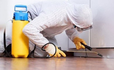 Počela jesenja deratizacija