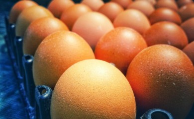 Ekonomska drama u Britaniji: Cijena jaja sa 20 porasla na 68 funti