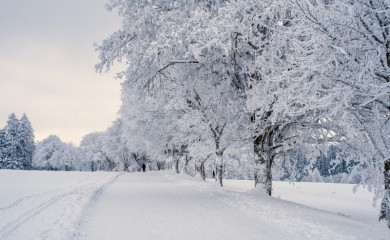 Zimska oluja otkazala letove