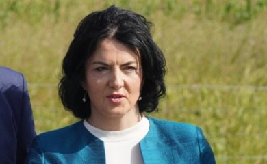 Privedena bivša gradonačelnica Niša: Policija je sačekala na graničnom prelazu
