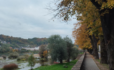 Novi Grad sadi – Banjaluka siječe: dva lica odnosa prema rijekama i drveću (VIDEO)
