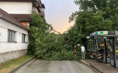 Posljedice nevremena u Srpskoj: Porušeno drveće, oštećeni krovovi i automobili (FOTO)