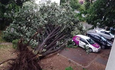 Snažno nevrijeme u Banjaluci, vjetar rušio drveće (FOTO)