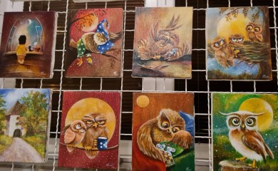 Sove političari, doktori, čitaju knjige i piju