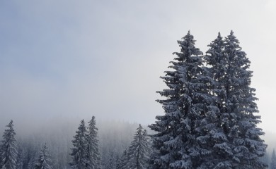 Nanosi snijega u Drvaru preko metra, u Gacku više sela odsječeno od svijeta