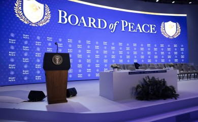 Albanija i Bugarska u Odboru za mir, Francuska kritikuje inicijativu