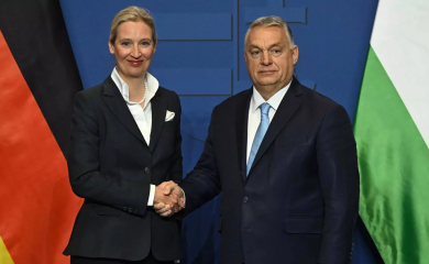 Vajdel: Orban jedina garancija da Ukrajina neće ući u EU