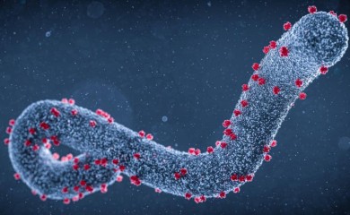Virus “Marburg” odnio pet života