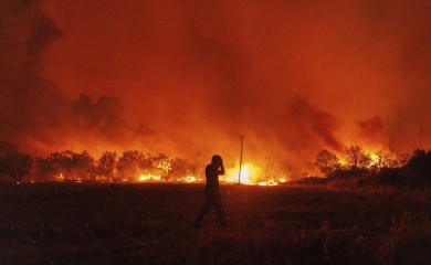 Horor u Grčkoj: U šumi koja bukti pronađeno 18 ugljenisanih tijela