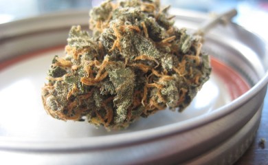 Odao ga miris marihuane, u autu sakrio tri kg