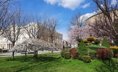 Pretežno sunčano, temperatura do 24 stepena