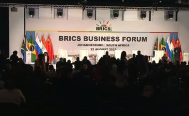 Drugi dan samita BRIKS, obratio se i Putin