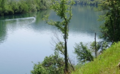 Uginule ribe plutaju Drinom