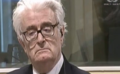 Petronijević o Karadžiću: Primoran je da sa porodicom razgovara na engleskom jeziku