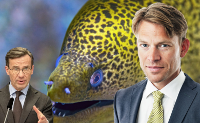 Skandal "Jegulja" trese Švedsku