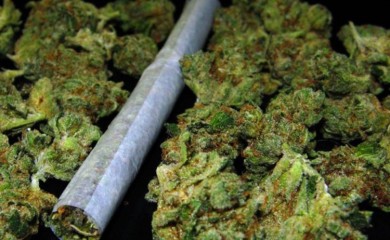 U Modriči oduzeti marihuana i spid