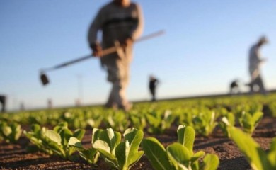 Problemi haraju poljoprivrednom proizvodnjom: Srpsku čeka neizvjesna jesen