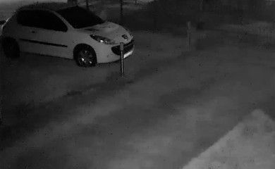 Medvjed na kapiji porodične kuće kod Bihaća, građani u strahu (VIDEO)