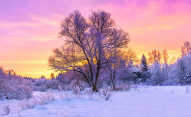 "Najhladnija zima u istoriji" ili još jedna izmišljotina? Meteorolog dao jasan odgovor