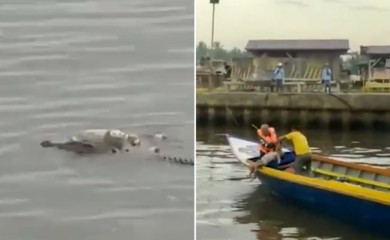 UZNEMIRUJUĆE Krokodil vratio tijelo utopljenog djeteta spasilačkom timu