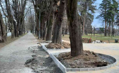 Izvođači radova odsjekli krugove kojima se narod smijao (FOTO)