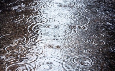 Danas pretežno oblačno sa kišom