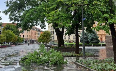 Posljedice nevremena u Banjaluci: Vjetar polomio drvo kao čačkalicu VIDEO