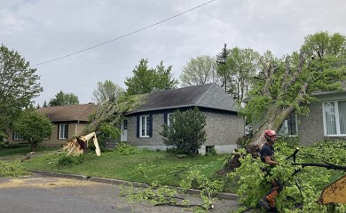 KANADA: Vojska pomaže otklanjanje štete nakon prolaska oluje