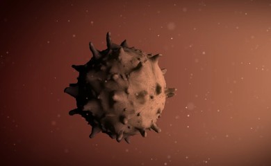 SRBIJA: Zaraženih 1.173, umrlo sedam