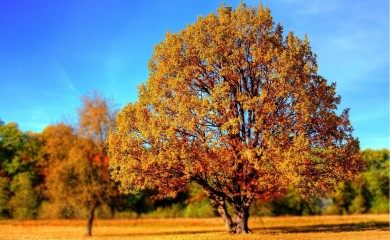 Očekuje nas sunčan i malo topliji dan