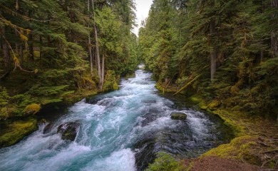 Najčistije rijeke za kupanje u Evropi, na listi i komšije (FOTO)