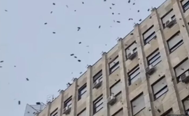 Neobičan prizor: U centru Beograda novčanice “padale sa neba” VIDEO