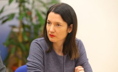 "Vlastima Srpske ovakve krize odgovaraju" Trivić o posljednjim potezima Ustavnog suda BiH