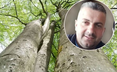 Detalji pogibije šumara: Bukva usmrtila oca dvoje djece