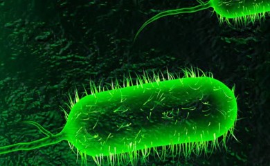 Broj slučajeva kolere dostigao 338, preminulo 29 osoba