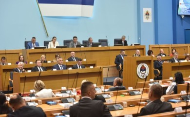 Poslanici od tirolske kobasice do začina: Savanović pitao Šulića da li će sniziti i cijenu parizera