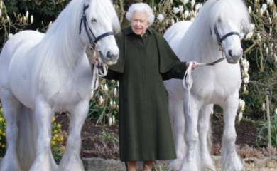 Kralj Čarls prodaje 14 konja kraljice Elizabete