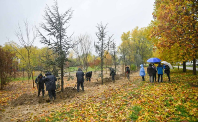 Nastavljena jesenja sadnja na više lokacija