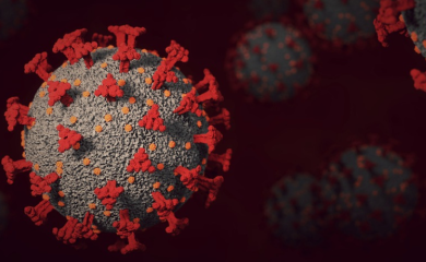 KORONA U FBiH: Pozitivno 39 lica