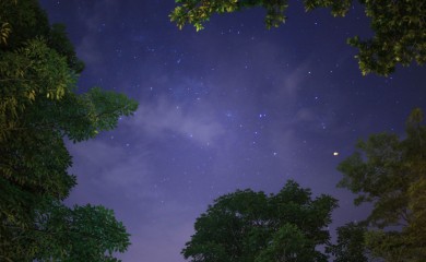 Znak Zodijaka koji će imati ubjedljivo najviše sreće na svim poljima u novembru