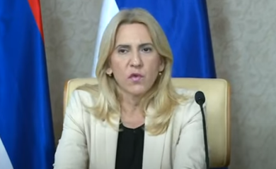 CVIJANOVIĆ: BiH ponovo šampion u neznanju