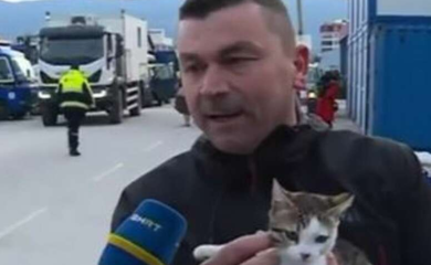 Maca Alejn koju su spasioci donijeli iz Turske dobila državljanstvo BiH (VIDEO)