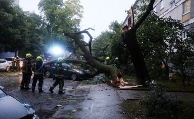Drvo palo na auto u Zagrebu i zarobilo ženu (FOTO)