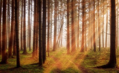 Kakvo nas vrijeme očekuje u subotu