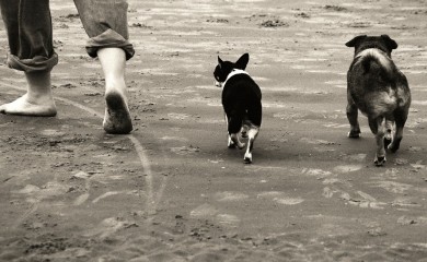 Hodanje bez obuće koriguje deformitet stopala